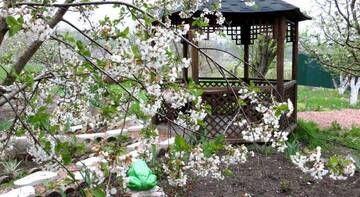 Фото Гостевой дом Cottage at Dobroe г. Доброе 5