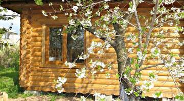 Фото Гостевой дом Cottage at Dobroe г. Доброе 2